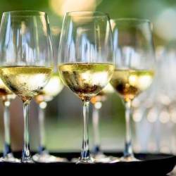 Винная экскурсия-дегустация по Праге и Чехии