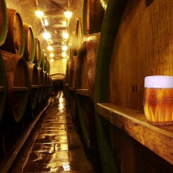 Пивной-гастро тур по лучшим пивоварням Праги и Чехии